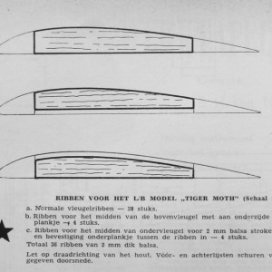 Tiger Moth 15 (rib)