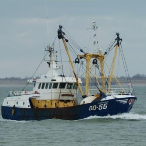 de echte
