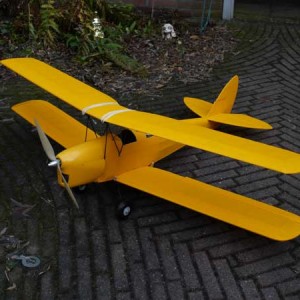 Veron Tiger moth