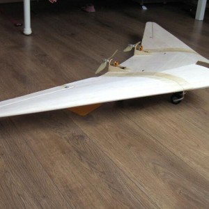 BILD3336