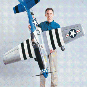P 51 [640x480]
