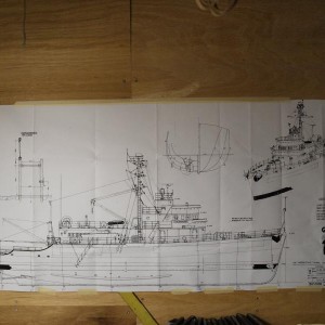 P3135908