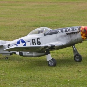 old crow1