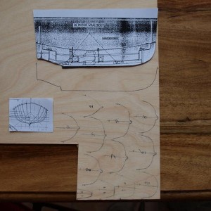 P5015969