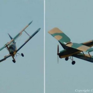 Drive Tiger Moth03