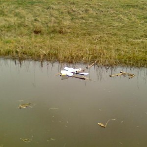 Water 2