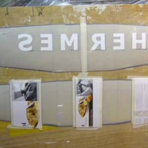 wing 35   mylar painting