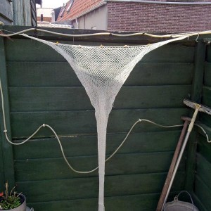het net voor de GO 1