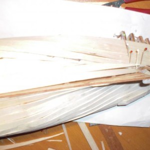 CIMG1136