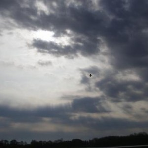watervliegen 001