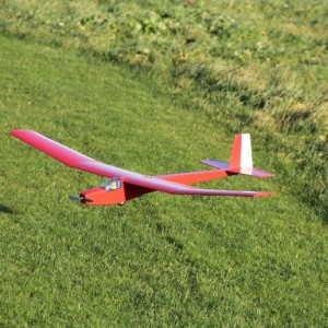spatz3
