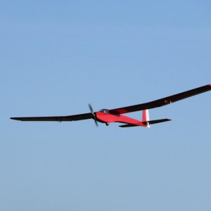 spatz4