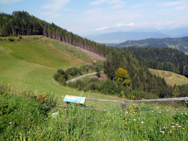 10 Birkerhohe