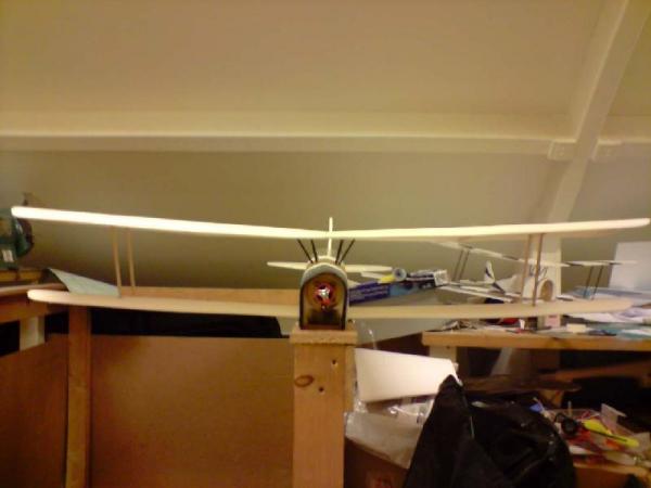 1metermoth40