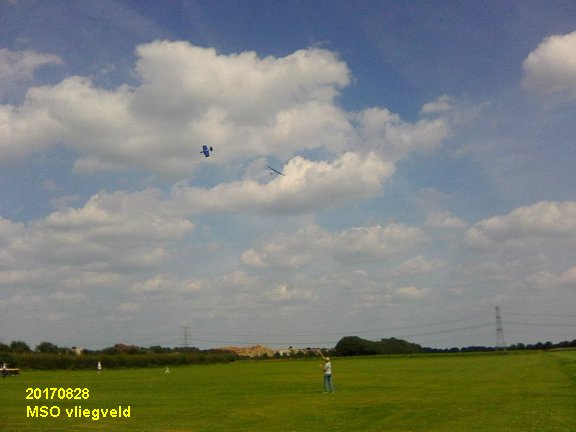 20170828_klaas_coylady_3