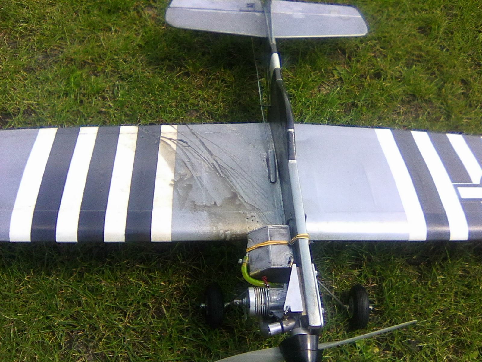 20200712_mustang_ace_b