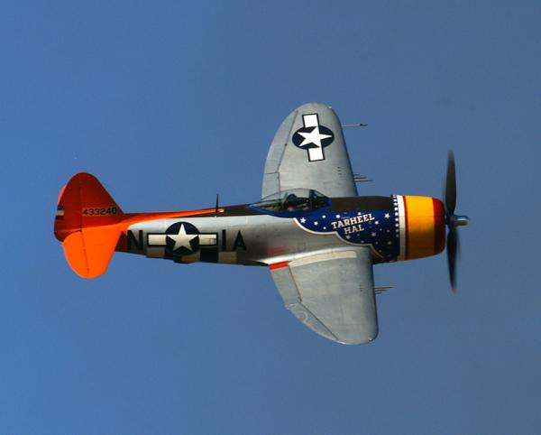 50564346 P47TarheelHal
