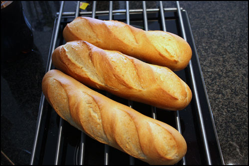 Brood1