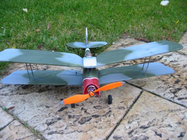 camo moth 004