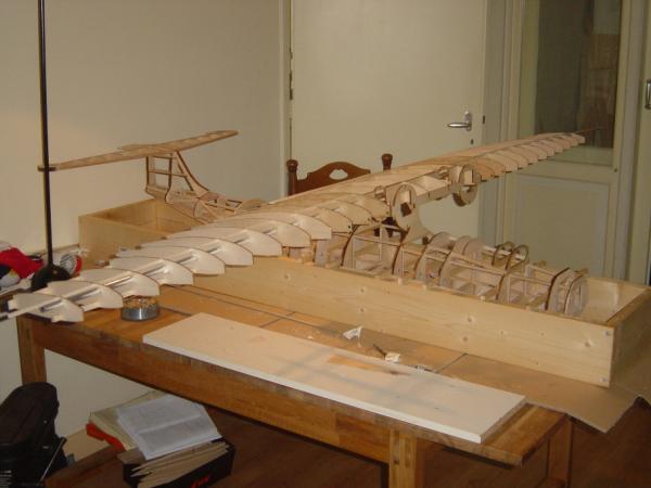Catalina 3