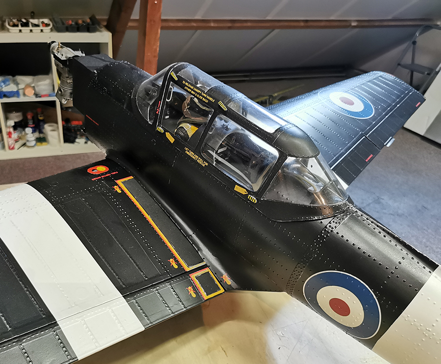 Chipmunk_RDW-02