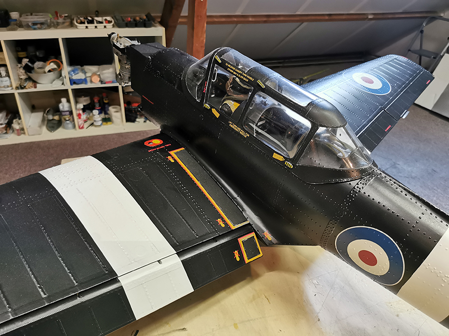 Chipmunk_RDW-03