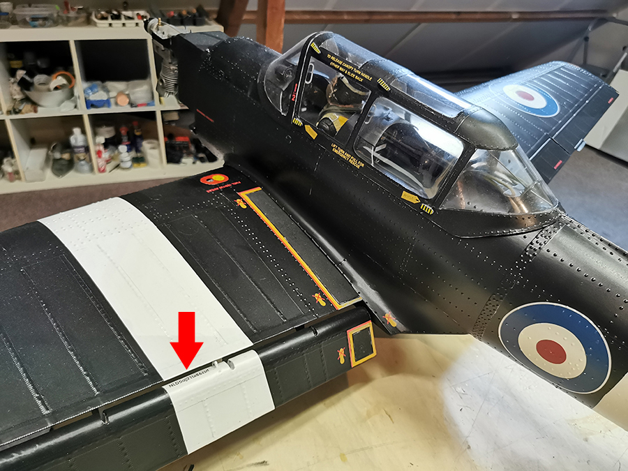 Chipmunk_RDW-04