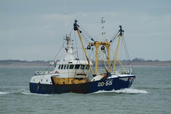 de echte