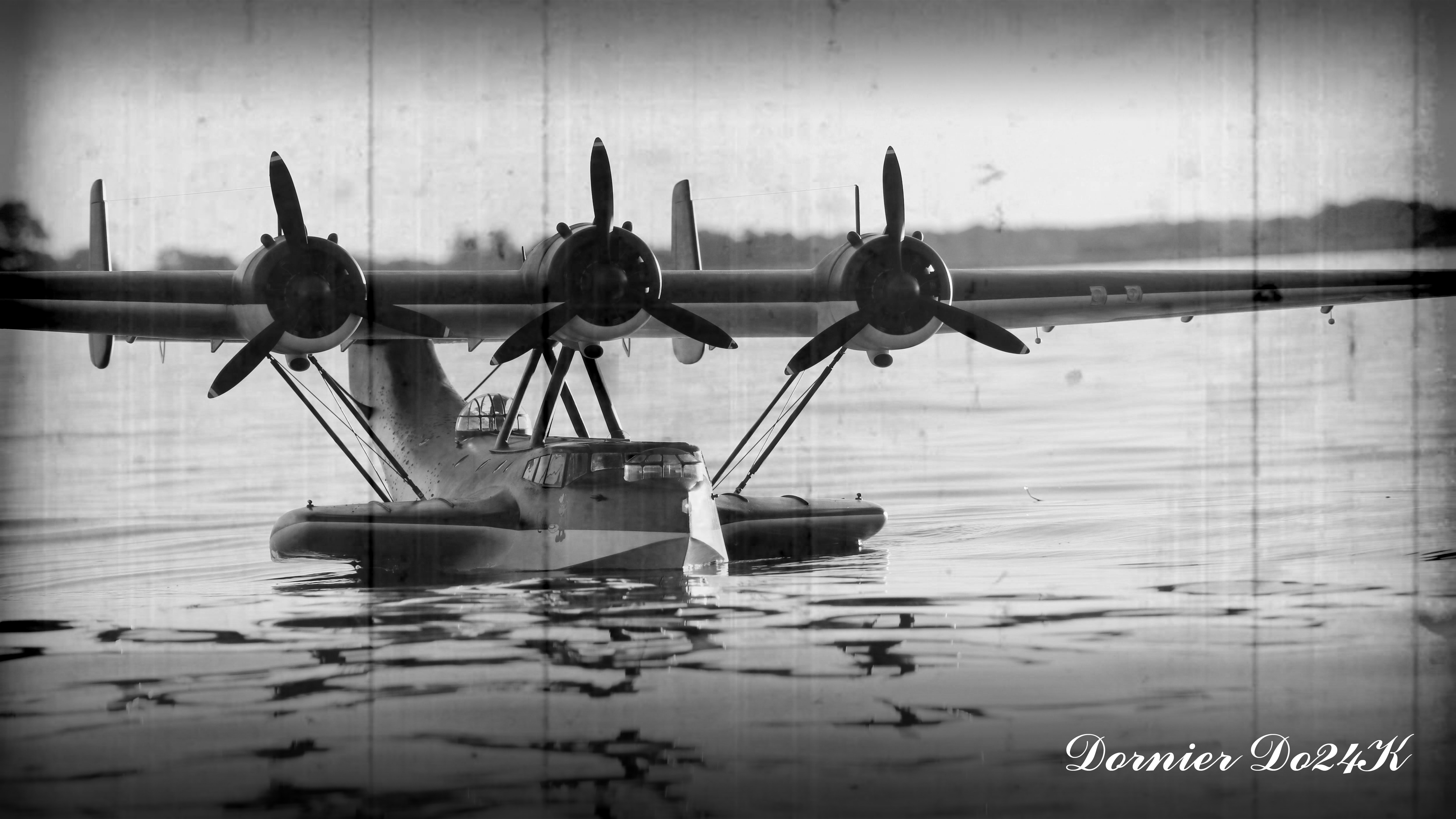 DORNIER DO24K