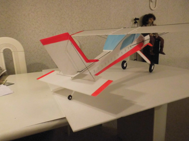 DSCI0009