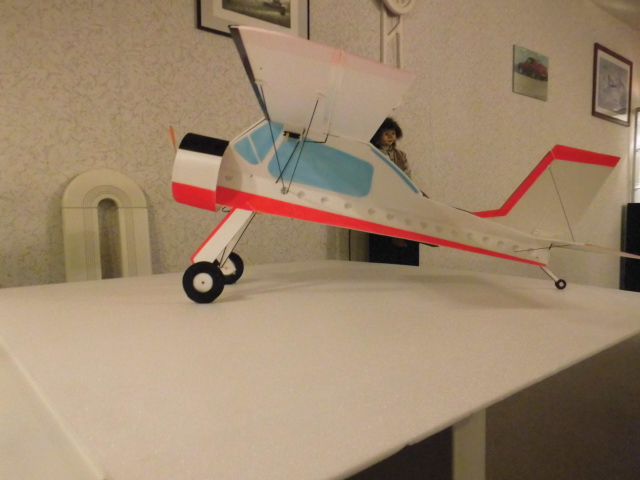 DSCI0010