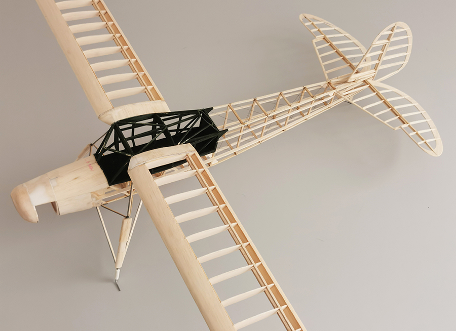 Fieseler_Storch__082