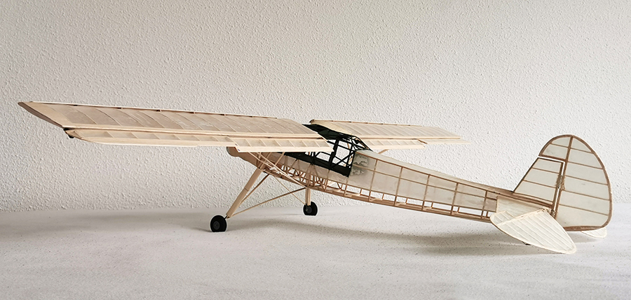 Fieseler_Storch__195
