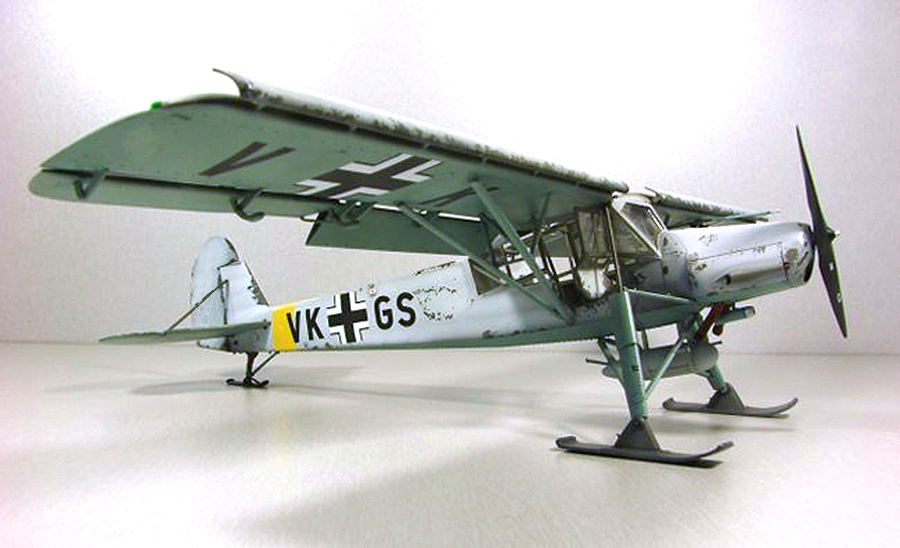 Fieseler_Storch__224
