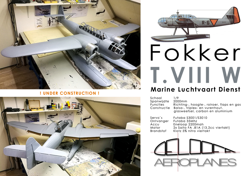 Fokker T_VIII W R-6 DeLooff Aeroplanes