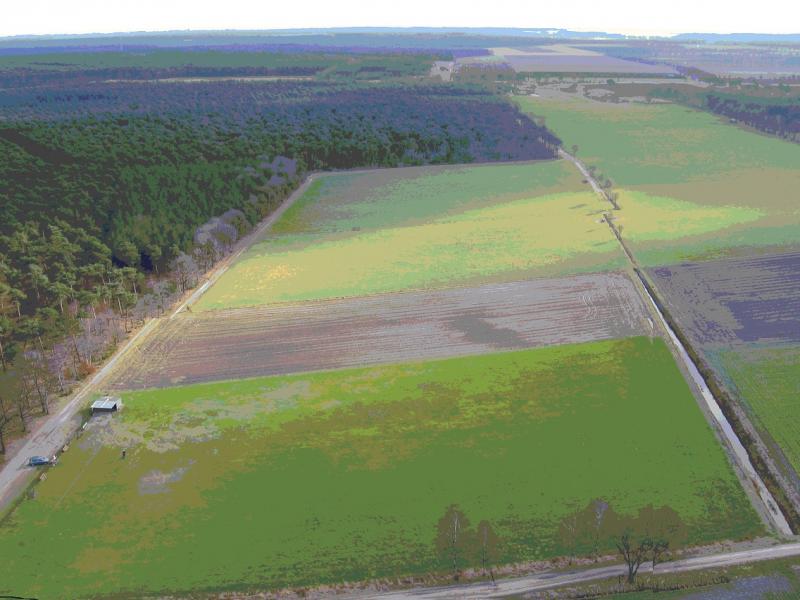 foto veld 26 02 2012 1