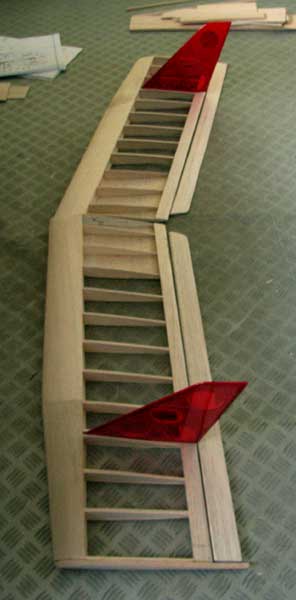 Geier1