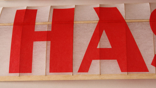 hast224