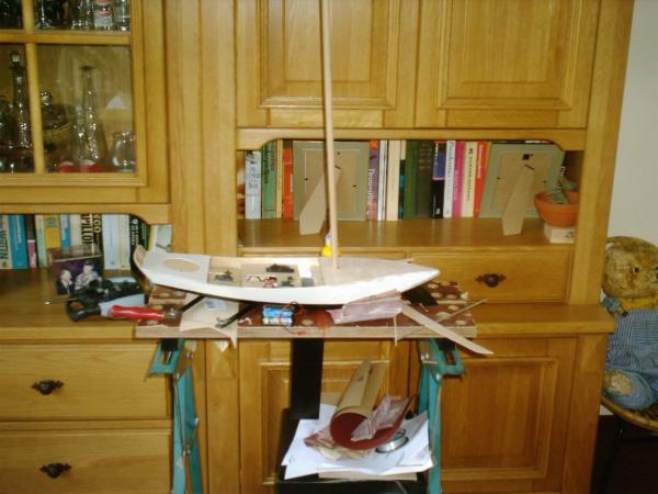 Het is al een lelievlet! De mast hoort wel wat rechter hoor, het was alleen een dryfit.