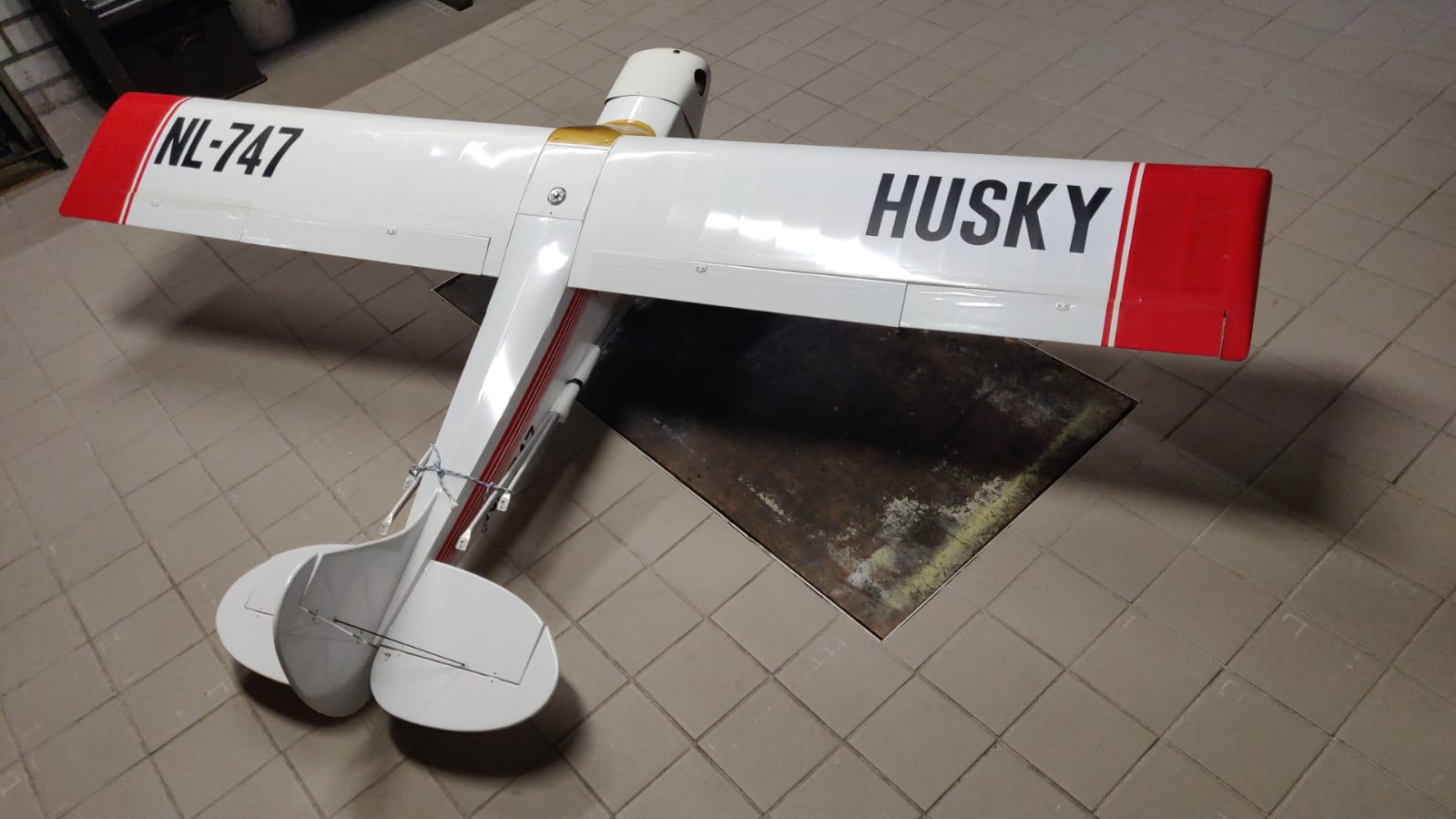 Husky1