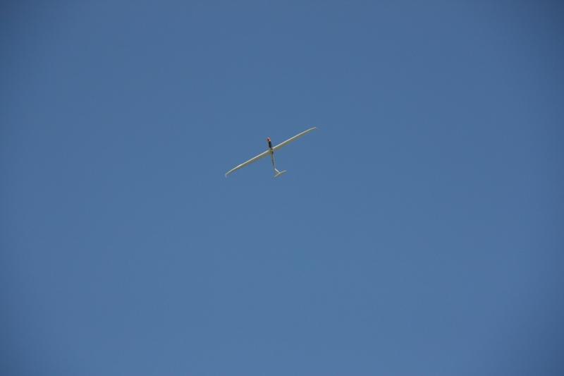 IMG 0768 lowres25