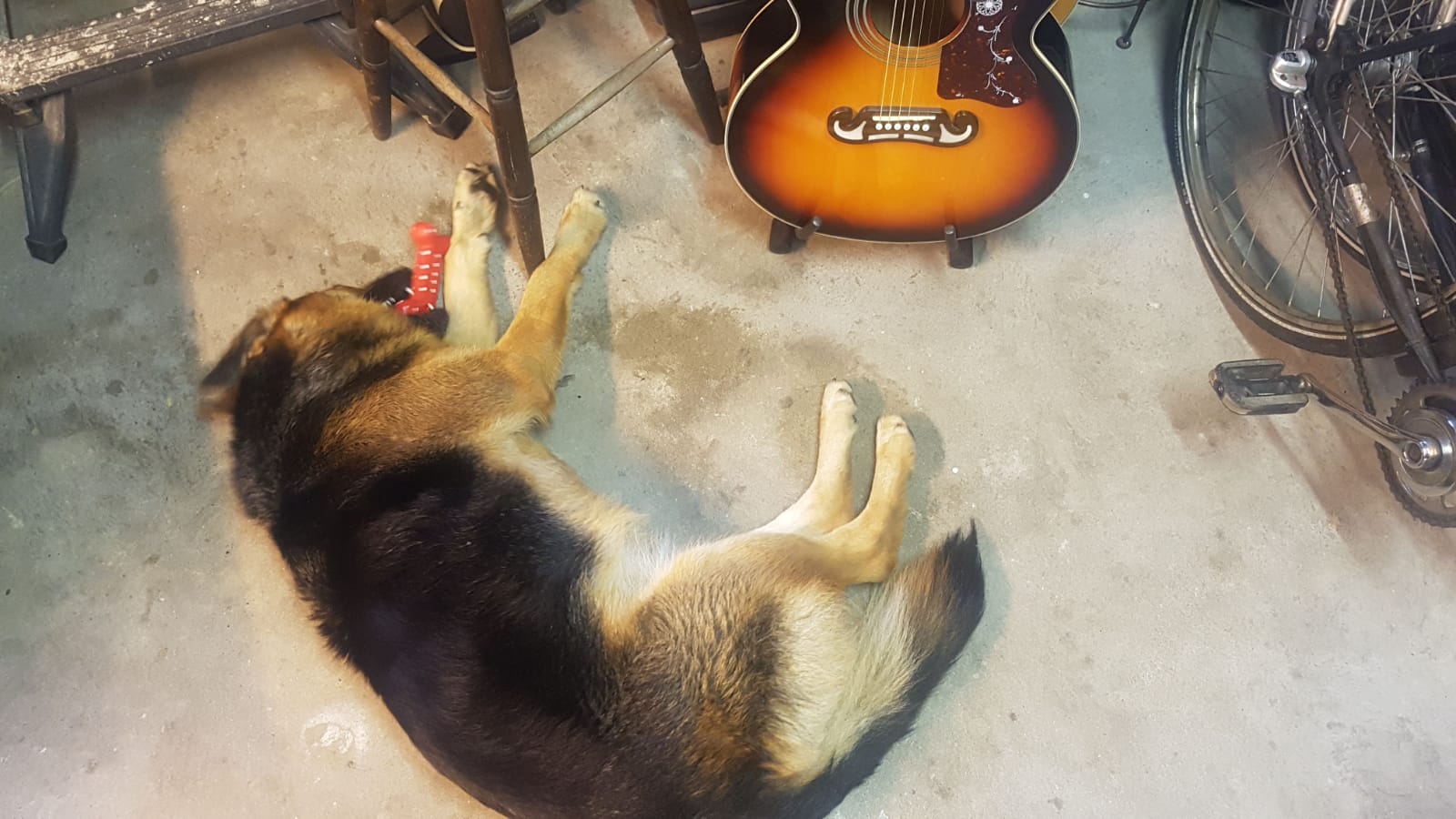 IMG-20190523-WA0024