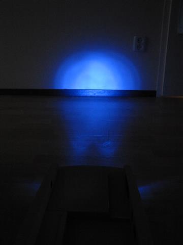 IMG 7804 (Small)