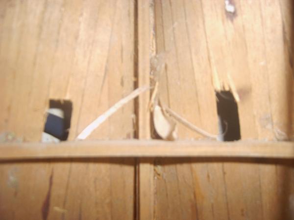 IMG00332
