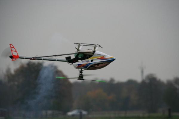 Inverted bij intratuin te Barneveld