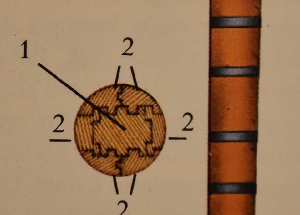 JPG_2747_1844_bewerkt-1