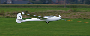 Libelle 08