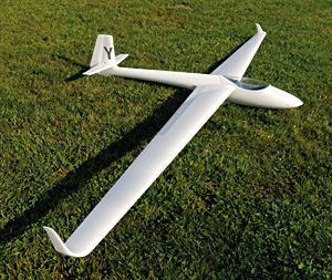 Libelle 11
