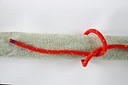marlsteek2