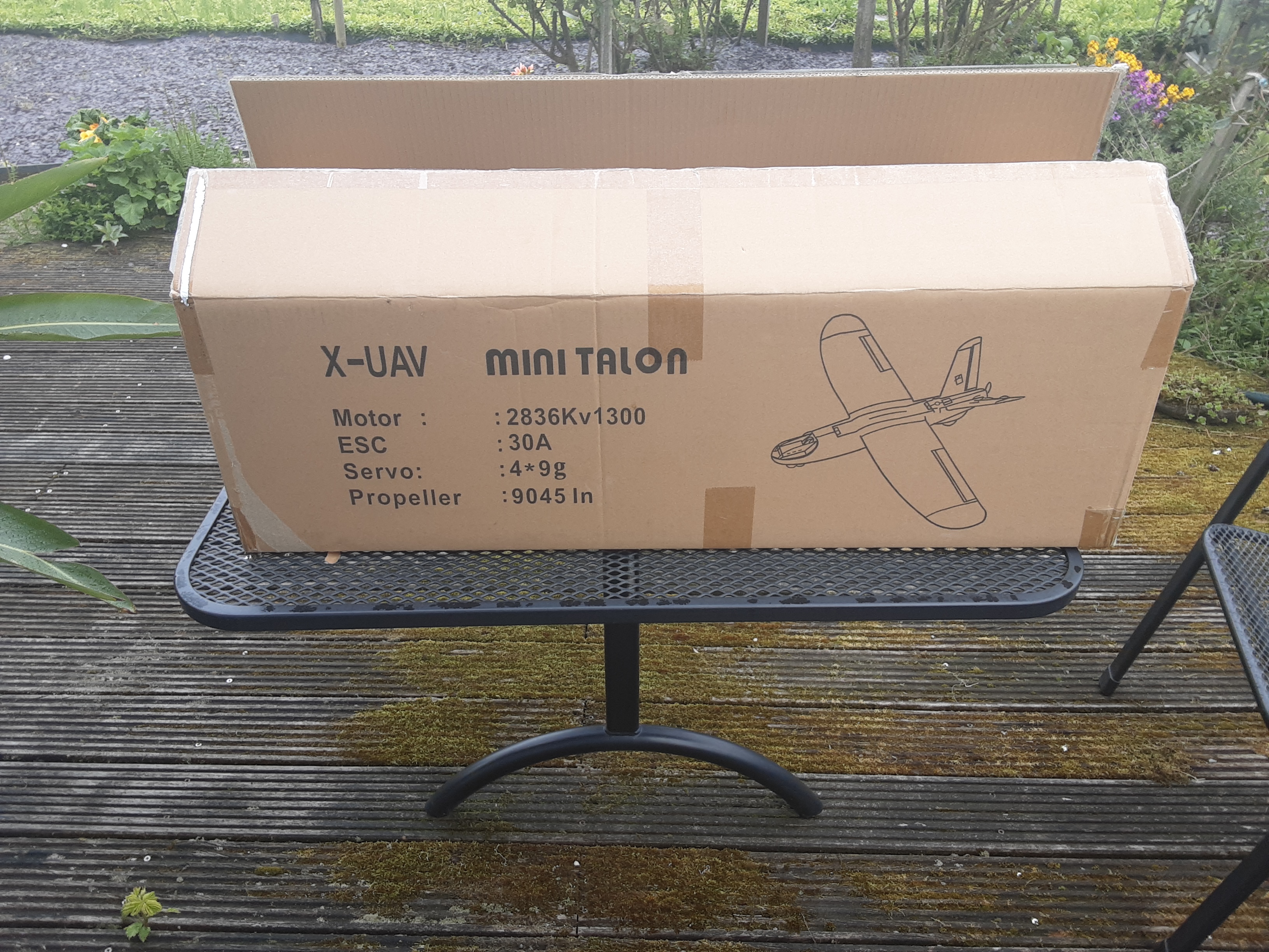 Mini Talon1